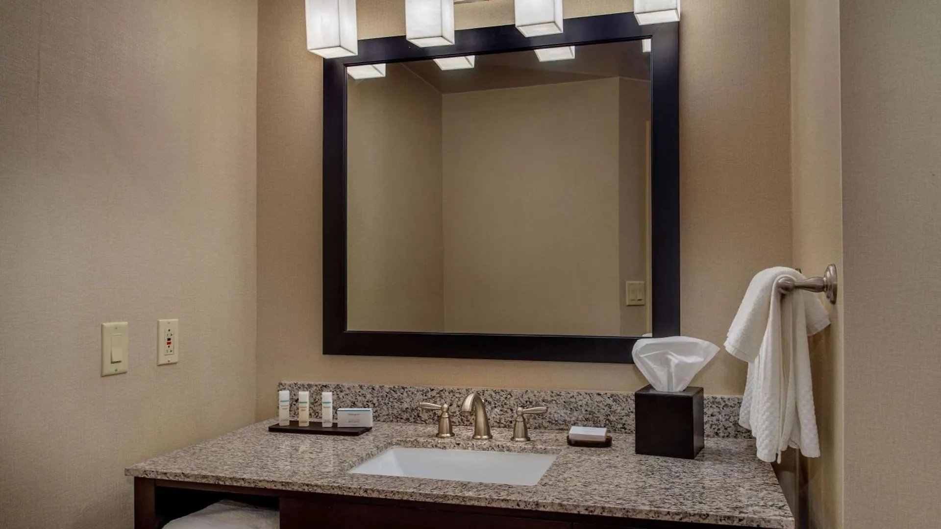 Hotel Embassy Suites By Hilton St Louis Airport Bridgeton
